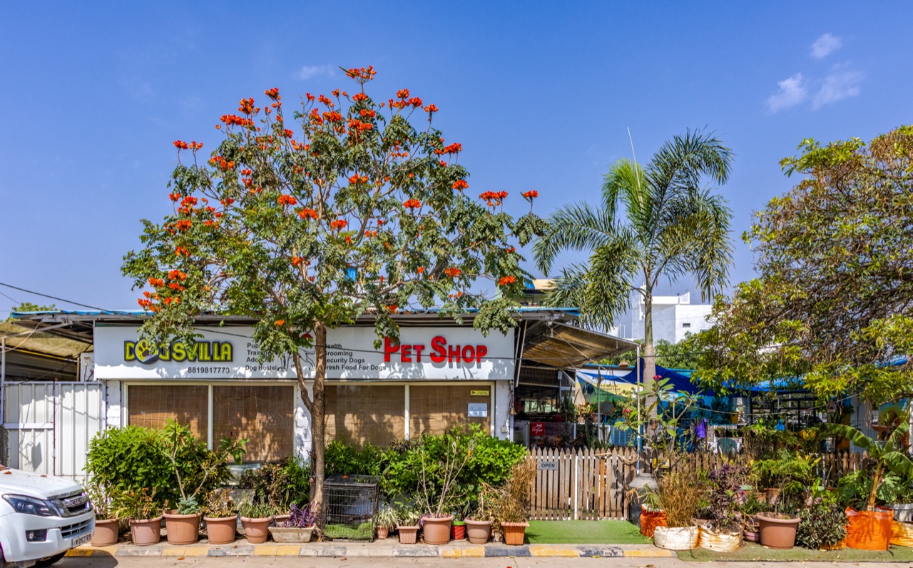 Dog Boarding & Hostel - Photo 40